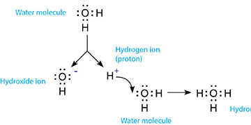 Is pH the Measurement of Hydrogen Ion Concentration or Ion Activity?